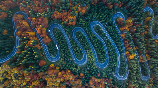 Curved road trough the forest. Pass in Transylvania, Romania. Aerial view from a drone.