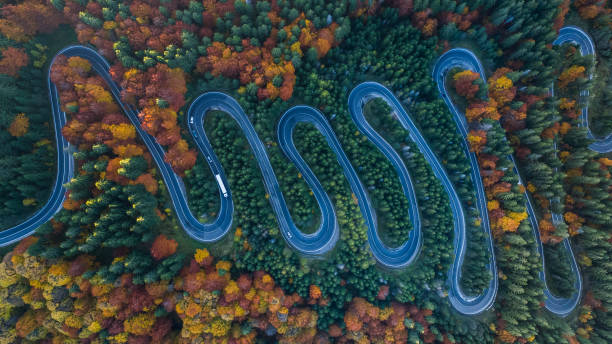 Curved road trough the forest stock photo