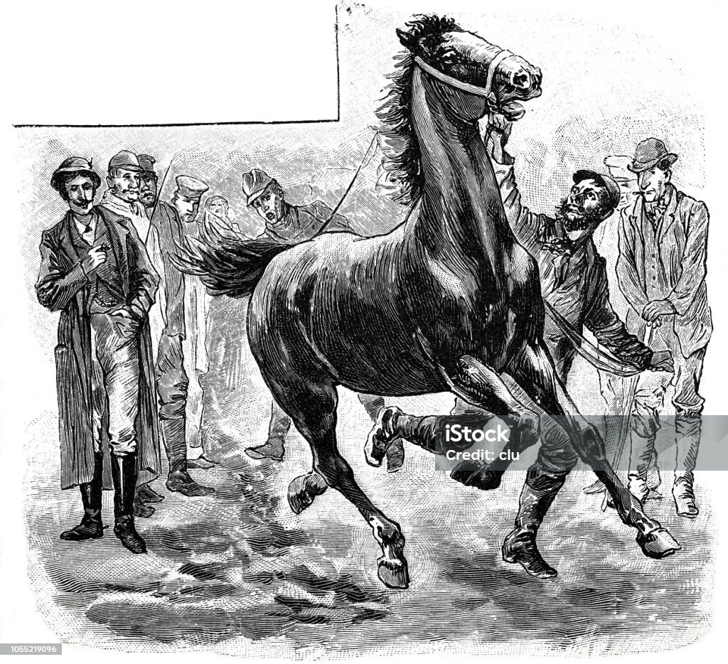 Horse market in Germany, demonstration of a horse Illustration from 19th century 19th Century stock illustration