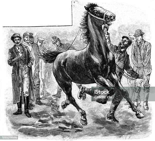 Horse Market In Germany Demonstration Of A Horse Stock Illustration - Download Image Now - 19th Century, 2018, Adult