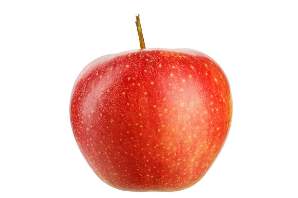 istock ripe whole apple isolated on white background. place for text 1055222262