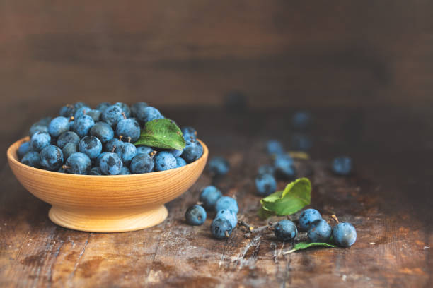 istock Autumn harvest blue sloe berries on a wooden table background. Copy space. Dark rustic style. Natural remedy 1055222442