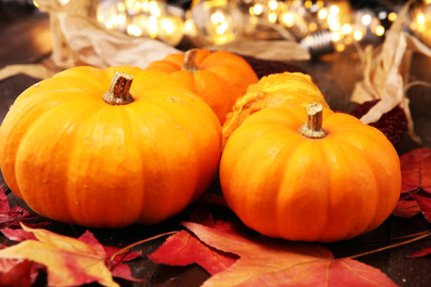 istock Diverse assortment of pumpkins on rustic table. Autumn harvest 1055225716