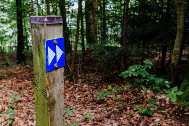 istock Arrow Sign On Wooden Post In Forest 1055225878