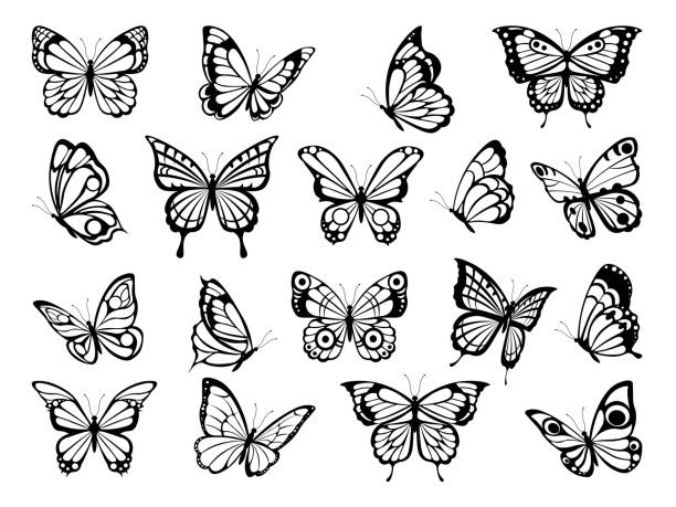 ilustraciones, imágenes clip art, dibujos animados e iconos de stock de siluetas de mariposas. negro imágenes de mariposas divertidas - mariposa lepidópteros