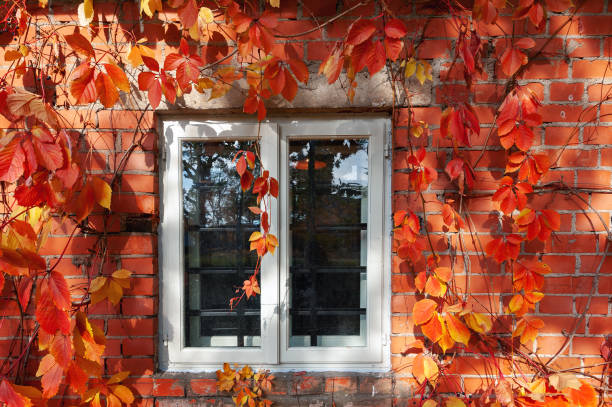 istock Red brick wall with window, decorated with red autumn leaves. 1055231850