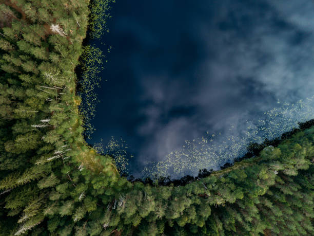 Aerial view of blue lakes and green forests on a sunny summer day in Finland stock photo
