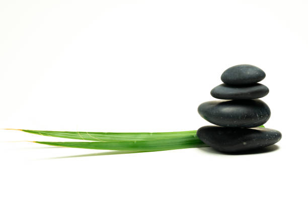 black wet massage stones and plants