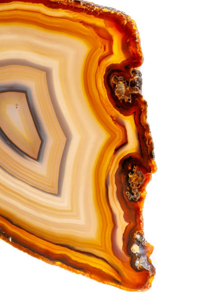 istock Macro mineral stone Yellow, brown Agate breed a white background 1055266816