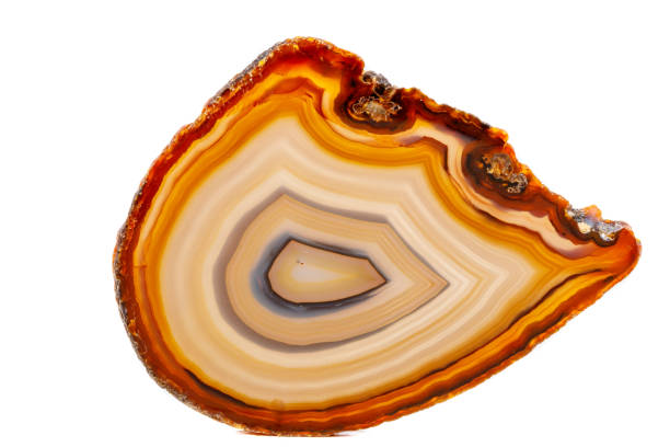 istock Macro mineral stone Yellow, brown Agate breed a white background 1055266826