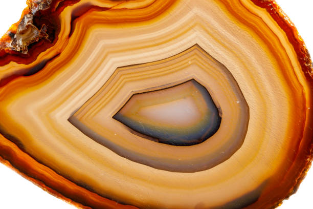 istock Macro mineral stone Yellow, brown Agate breed a white background 1055267556