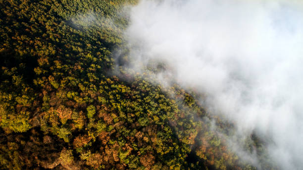 istock Dense fog over Rhine valley, Germany - aerial view 1055267746