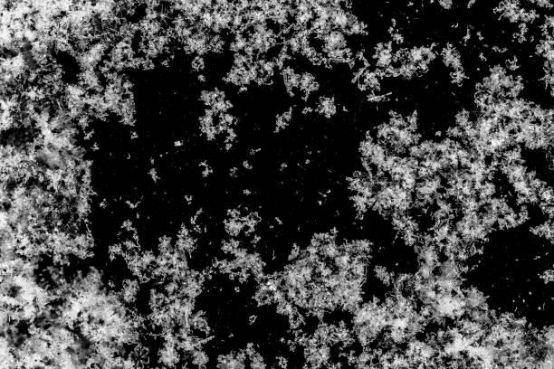 istock Natural snowflakes and ice crystals on dark background. 1055269594
