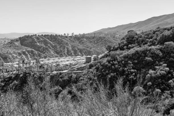 Black and white suburbs with houses in natural light and room for copy text in sky
