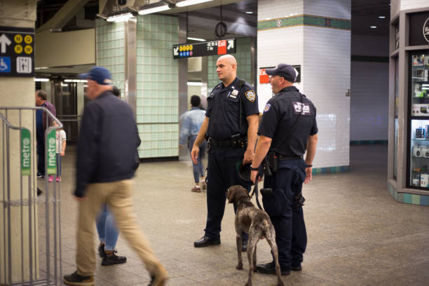 new york, ny : policiers avec chien dans le métro - subway station new york state new york city fluorescent light photos et images de collection