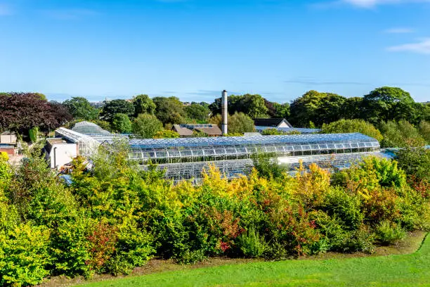 Photo of A view of David Welch Winter Gardens from top of the Mound (artificial hill) in Duthie Park, Aberdeen, Scotland