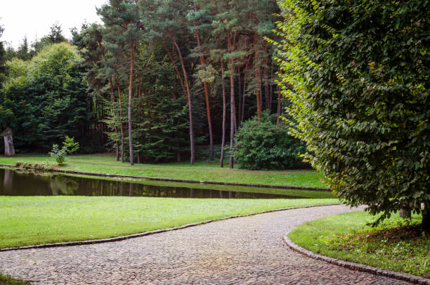 istock lake in the park 1055292828