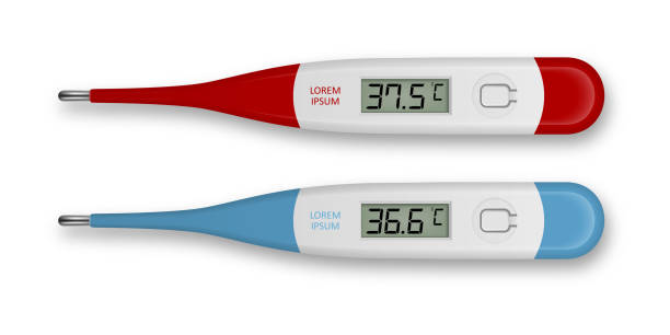 Vector realistic 3d celsius electronic medical thermometer for measuring set closeupisolated. Fever 37.5 and normal 36.6. Design template of digital thermometer showing temperature. Top view Vector realistic 3d celsius electronic medical thermometer for measuring set closeupisolated. Fever 37.5 and normal 36.6. Design template of digital thermometer showing temperature. Top view. 156 number stock illustrations