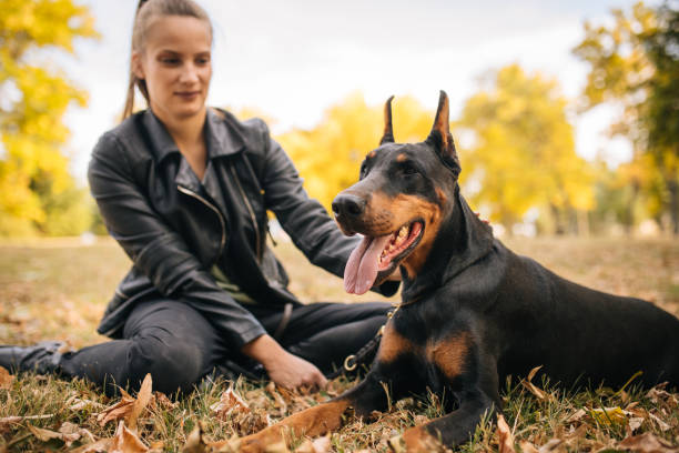 Beautiful woman with her doberman pinscher in park outdoors.