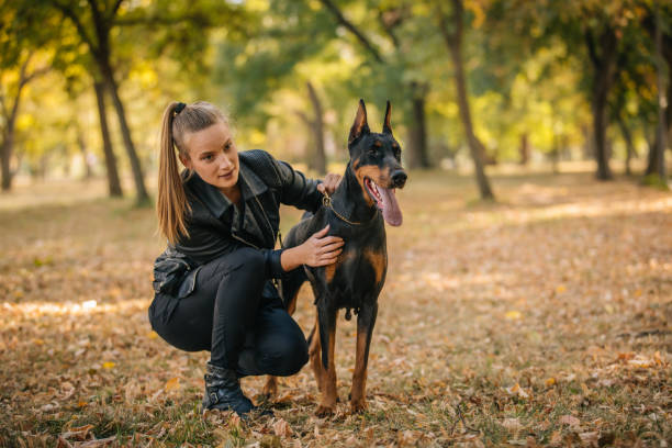 istock Girl with pet doberman in park 1055306642