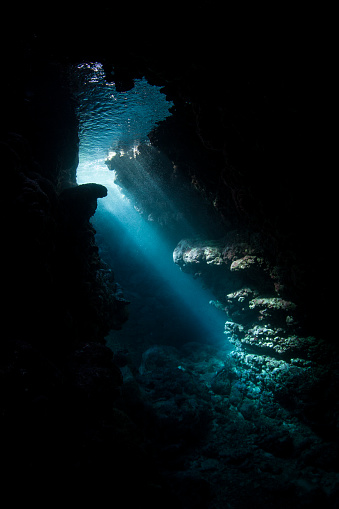Beams of sunlight descend into the shadows of an underwater cavern in the Solomon Islands. The biodiverse coral reefs of this area are riddled with crevices, cracks, and caves.