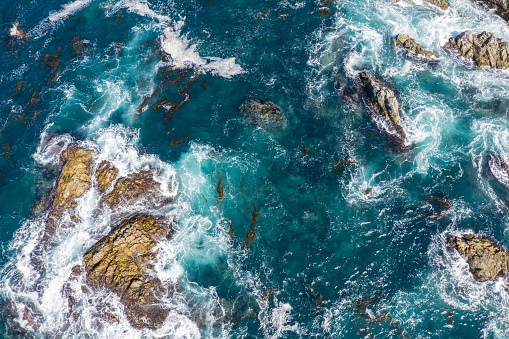 The cold waters of the North Pacific Ocean wash against the rocky and scenic coastline of Northern California not far from Monterey. Kelp forests thrive in this coastal environment.