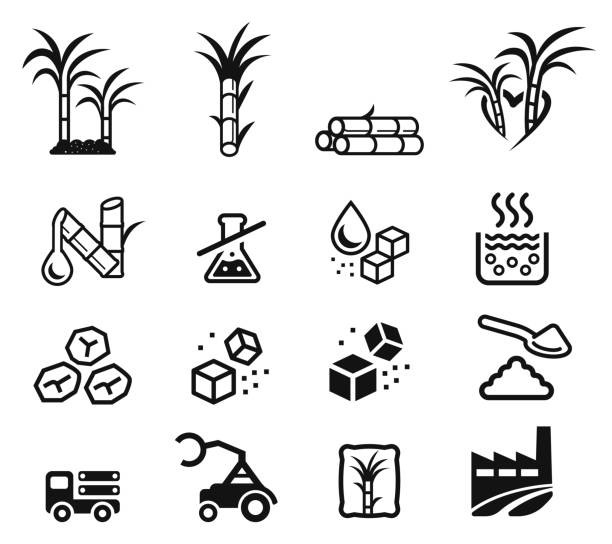 ilustrações de stock, clip art, desenhos animados e ícones de quality sugar product from sugarcane factory (icon concept.) - sugar