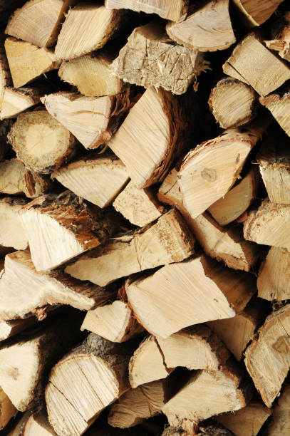 istock Dry chopped firewood logs in a pile. 1055321906
