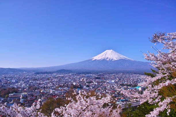 istock Mount Fuji and cherry blossoms 1055325648