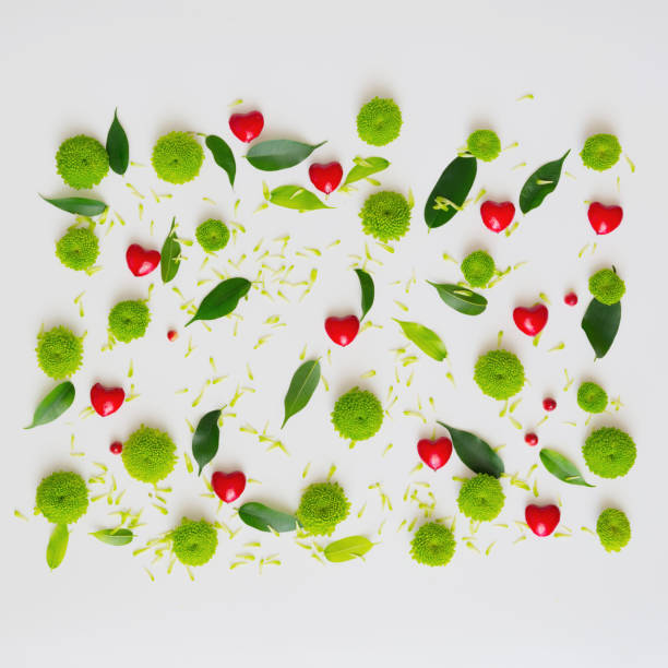 istock Hearts with pattern from petals of chrysanthemum flowers. 1055325772