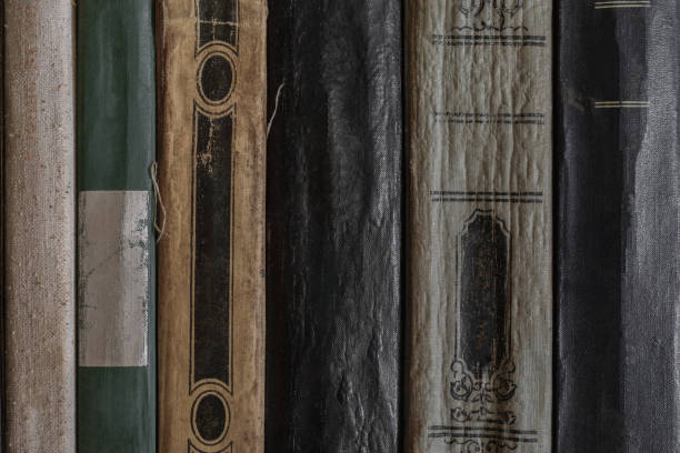 istock Very old and dusty book side covers background surface 1055338984