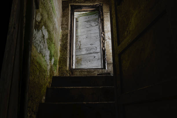 scale scure con porta vecchia e bianca che conduce al seminterrato buio - basement spooky cellar door foto e immagini stock