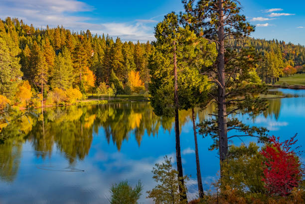 montañas de san bernardino en el lago de valle de césped en otoño (p) - hill green california grass fotografías e imágenes de stock