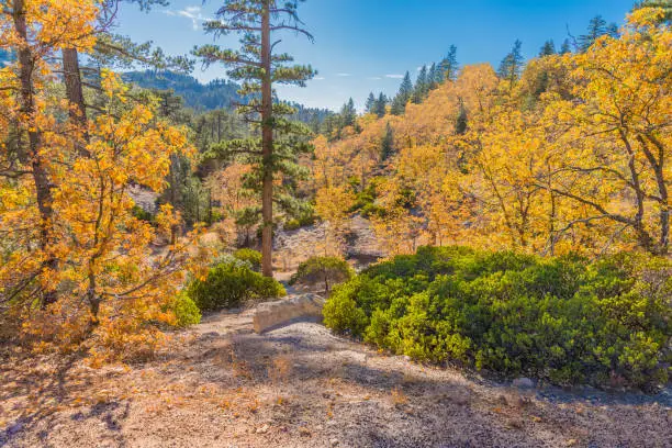 Photo of San Bernardino Mountains at Arrowbear in Autumn