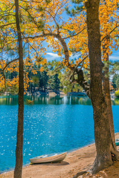 istock San Bernardino County with autumn back lit oak tree forest at Green Valley Lake , Ca 1055340884