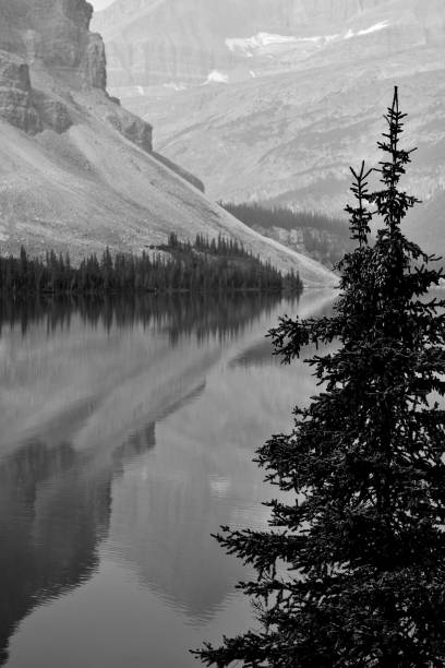 istock Bow Lake Banff National Park 1055347152