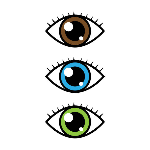 漫画のベクトルの目 - hazel eyes点のイラスト素材／クリップアート素材／マンガ素材／アイコン素材