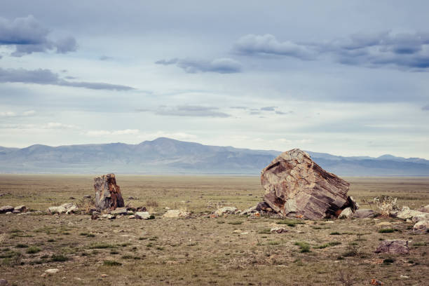 istock Tarkhatinsky megalithic complex. Steppe and blue mountains on the horizon. Altai Russia 1055350262