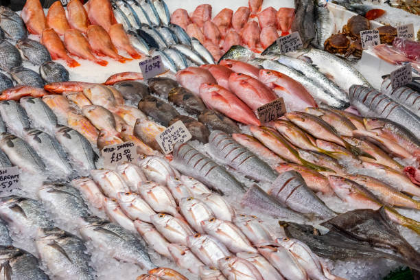 istock Fresh fish for sale at a market 1055351350