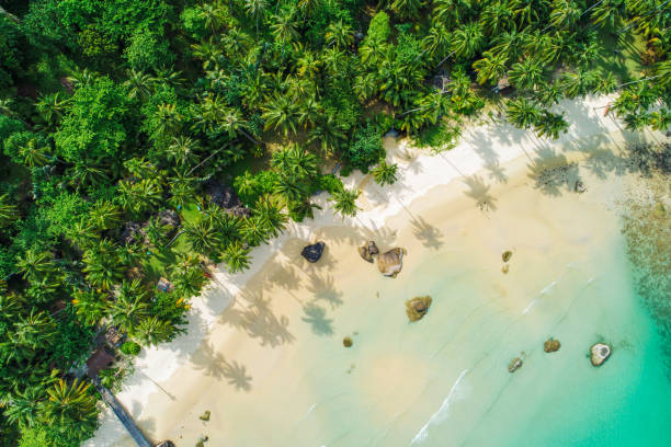 istock Amazing white sand beach sea shore with coconut palm tree shadow in morning 1055352042