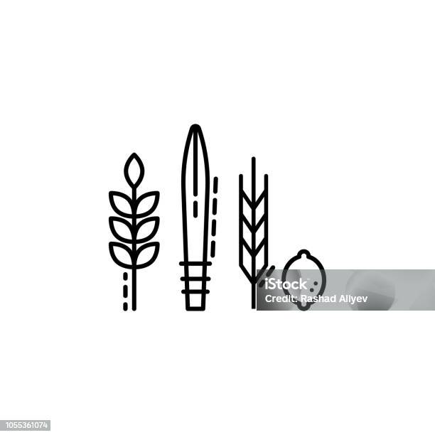 Four Species Icon Element Of Jewish Icon For Mobile Concept And Web Apps Thin Line Four Species Icon Can Be Used For Web And Mobile Stock Illustration - Download Image Now