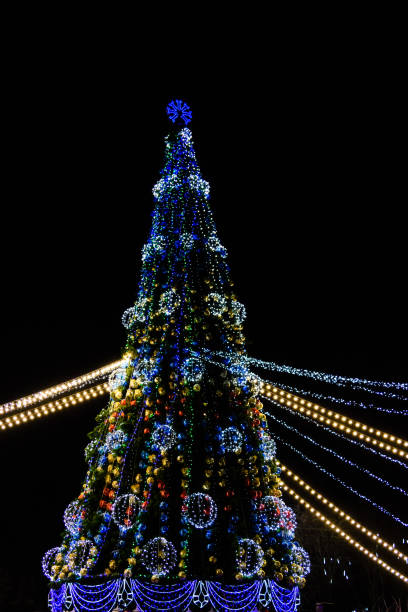 istock Christmas tree and christmas lights against black night sky 1055370976