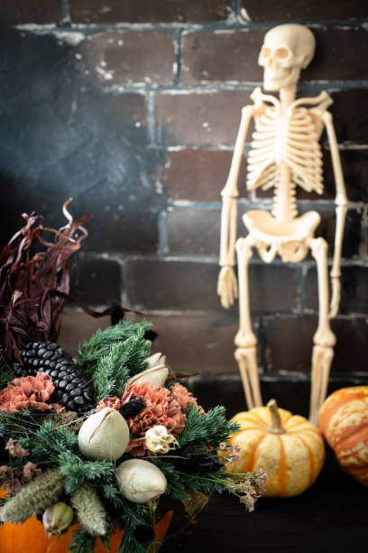 istock Halloween or Thanksgiving background with copy space. Autumn composition in pumpkin with cobweb, corn, carnation flower. 1055376796