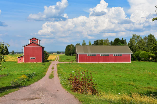 istock Red barns at the farm on a sunny day 1055394340