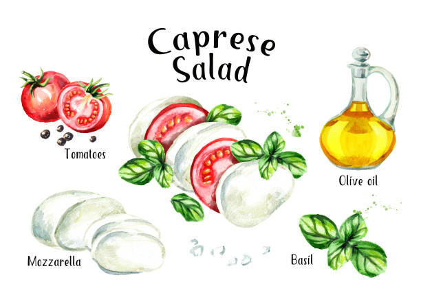 caprese składniki sałatki przepis. ilustracja narysowana ręcznie akwarelą izolowana na białym tle - caprese salad salad tomato mozzarella stock illustrations