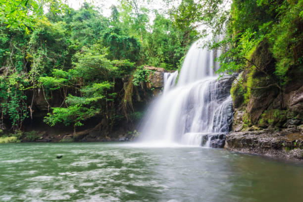 istock Tropical deep forest Klong Chao waterfall in Koh Kood island 1055400882