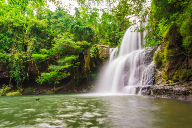istock Tropical deep forest Klong Chao waterfall in Koh Kood island 1055404050