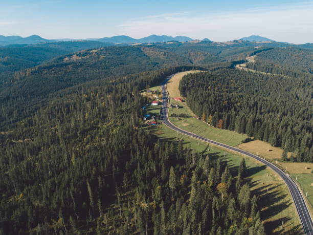 istock High Angle View Of Road Amidst Trees Against Sky 1055409354