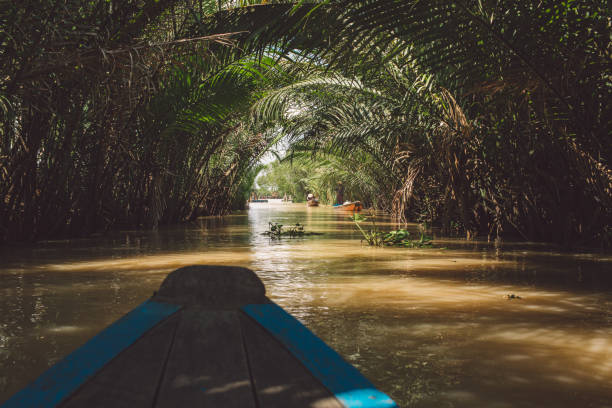 istock Scenic View Of River In Forest 1055409382
