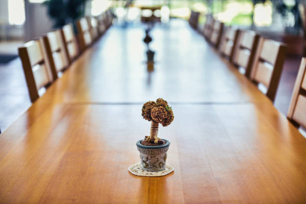 Big event, corporate or wedding wooden dinner table and chairs. Long wooden table with bonsai like decoration in small vase in event venue is ready for serving.